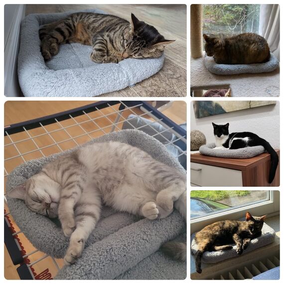 Namsan Katzenbett Hundebett Sanft Katzenkissen Plüsch Wärmematte für Kleinen Hunde/Katze/Hasen, Gray