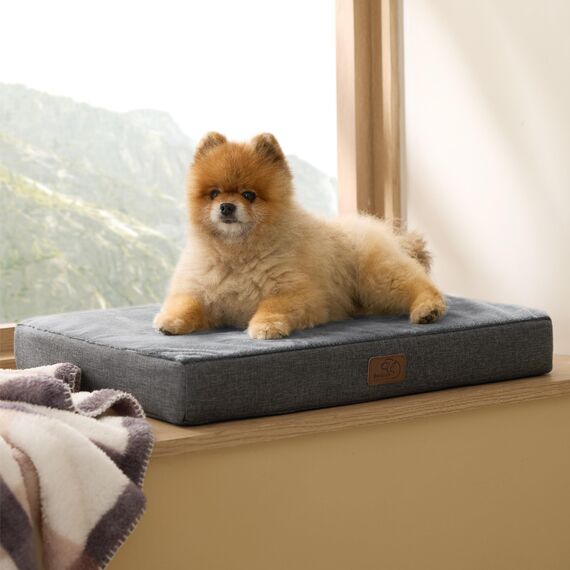 BEDSURE orthopädisches Hundekissen kleine Hunde - 61x41x8cm waschbares Hundebett mit 2 in 1 Memoryschaum, kuscheliges Hundematte Hundematratze, dunkelgrau