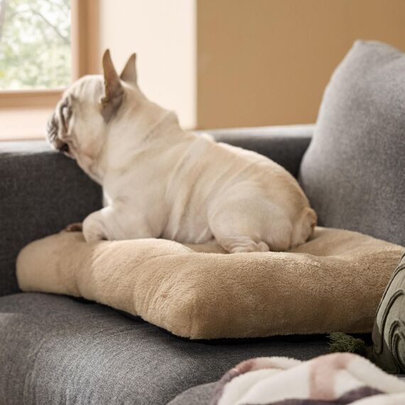 BEDSURE Hundebett Waschbar Groß - Hundekissen Bett Beruhigende Hundematratze mit Rutschfestem Boden, Warmes Kissen für Große Haustiere, Kamel, 74x53x8cm