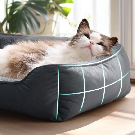 BEDSURE Katzenbett waschbar Katzen Bettchen - 51x41cm Katzenkorb Indoor mit Rutschfester Basis, quadratisches Hundebett für kleine Hunde mit weichem Rand, Dunkelgrau