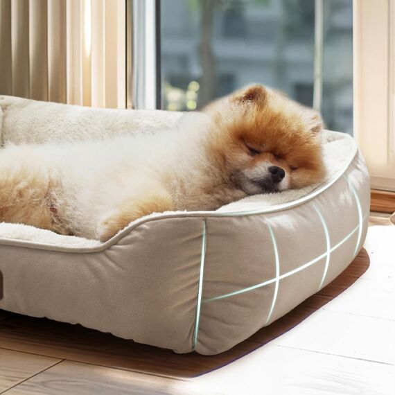 BEDSURE Katzenbett große Katzen waschbar - 63.5x53cm rutschfestes Hundebett kleine Hunde, quadratisches Katzenkorb mit weichem Rand, Kamel
