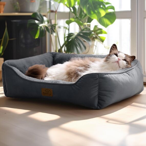 BEDSURE Katzenbett waschbar Katzen Bettchen - 51x41cm Katzenkorb Indoor mit Rutschfester Basis, quadratisches Hundebett für kleine Hunde mit weichem Rand, Dunkelgrau