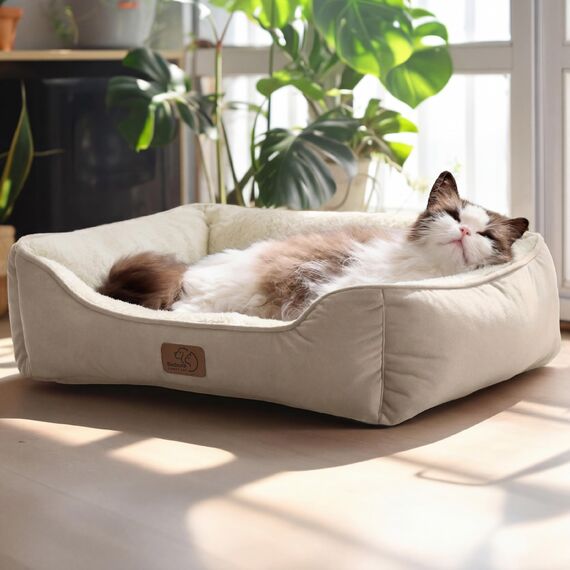 BEDSURE Katzenbett waschbar Katzen Bettchen - 51x41cm Katzenkorb Indoor mit Rutschfester Basis, quadratisches Hundebett für kleine Hunde mit weichem Rand, Kamel