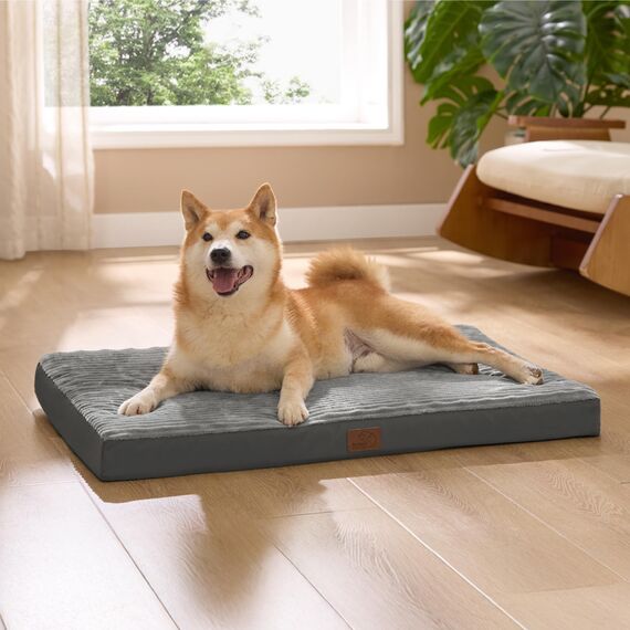 BEDSURE waschbares Hundebett für kleine Hunde - 74x46x7cm Komfort Hundekissen mit Rutschfester Basis und abnehmbarem waschbarem Bezug, Eierkarton-Schaumstoff Hundematte, Grau