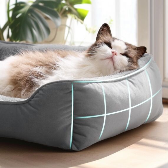 BEDSURE Katzenbett waschbar Katzen Bettchen - 51x41cm Katzenkorb Indoor mit Rutschfester Basis, quadratisches Hundebett für kleine Hunde mit weichem Rand, grau