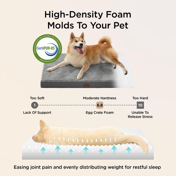 BEDSURE waschbares Hundebett für kleine Hunde - 74x46x7cm Komfort Hundekissen mit Rutschfester Basis und abnehmbarem waschbarem Bezug, Eierkarton-Schaumstoff Hundematte, Grau