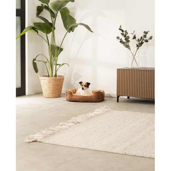 lionto Hundebett mit Wendekissen und Rutschfester Unterseite, Robustes Heimtierkissen mit tiefem Einstieg für Hunde und Katzen jeden Alters, 60x48 cm, kuscheliges Hundekissen, braun/beige
