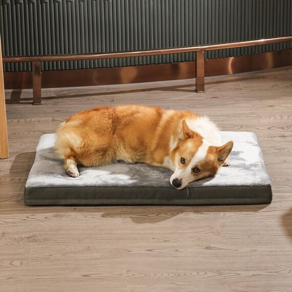 Amazon Basics XL Kühlgel-Matratze aus Memoryschaum für Hunde und Haustiere mit abnehmbarem, waschbarem Bezug, grau, 104 x 74 x 10 cm (L x W x H)