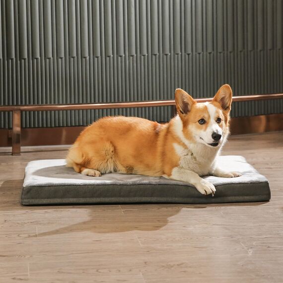 Amazon Basics XL Kühlgel-Matratze aus Memoryschaum für Hunde und Haustiere mit abnehmbarem, waschbarem Bezug, grau, 104 x 74 x 10 cm (L x W x H)