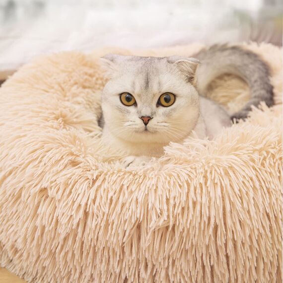 Nisrada Katzenbetten für Indoor-Katzen, 60cm Hundebett für kleine Melium große Hunde, waschbares, rundes Haustierbett für Welpen und Kätzchen mit Rutschfester Unterseite