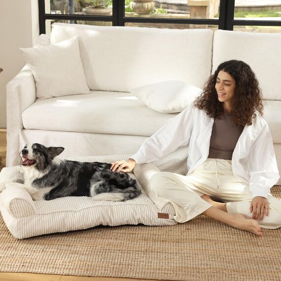 FUKUMARU Hundebett für große Hunde, Flauschiges & Katensofa mit wasserabweisender TPU-Schicht, Cordstoff, Waschbar und rutschfest, Abnehmbarer Reißverschlussbezug, 93 x 63 x 22 cm, Creme