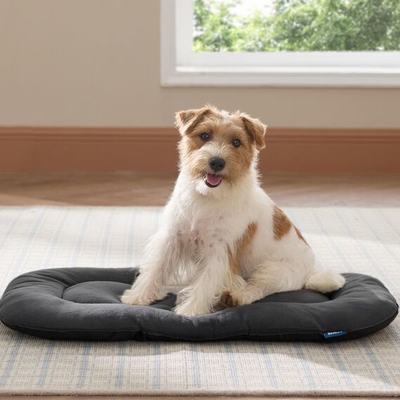 BEDSURE waschbar Hundekissen für mittelgroße Hunde - dünne Hundebette kleine und mittelgroße Hunde, weiche und Bequeme Hundematte mit Rutschfester Unterseite- 74x46 cm,Dunkelgrau