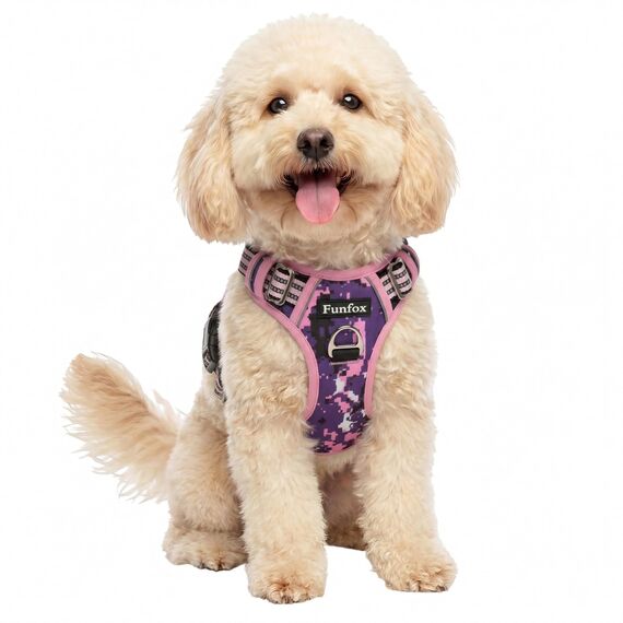 Funfox Hundegeschirr Kleine Hunde [S] - Anti Zug Welpengeschirr mit Griff & Ringreflektoren, Atmungsaktives Verstellbares No Pull Brustgeschirr für Kleine/Mittelgroße Hunde Outdoor Mosaik Rosa