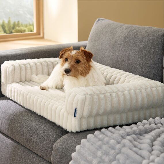 BEDSURE orthopädisches Hundebett für mittelgroße Hunde - 76x51x16.5cm wasserdichtes Hundesofa mit Memory-Schaum & Eierkarton-Schaum, waschbarer und Abnehmbarer Cordbezug Hundecouch, Creme