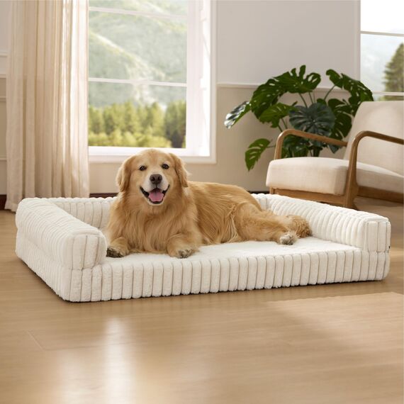 BEDSURE orthopädisches Hundebett Grosse Hunde - 122x89x20cm wasserdichtes Hundesofa mit Memory-Schaum & Eierkarton-Schaum, waschbarer und Abnehmbarer Cordbezug Hundecouch, Creme