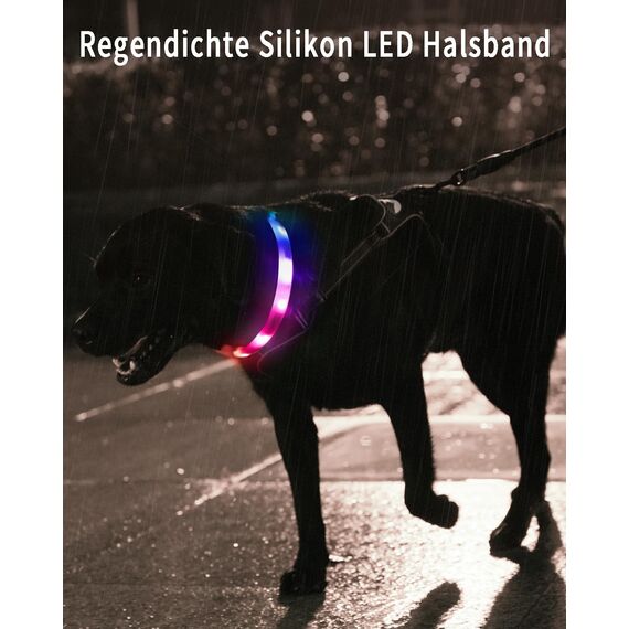 Joytale Leuchthalsband Hund, Hundehalsband Leuchtend Aufladbar, Längenverstellbar Led Hundehalsband mit 9 Leuchtmodi, Regendicht Hunde Leuchthalsband für Kleine Mittlere Große Hunde, 70 cm