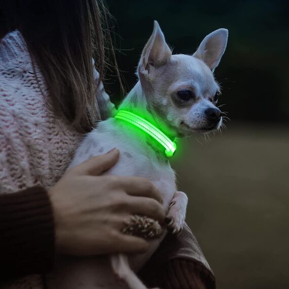 Visinite Leuchthalsband Hund,Wasserdicht,Verstellbare,USB Aufladbar LED Hunde Halsbänder, Leuchtet im Dunkeln,Leuchtendes Hundehalsband hält Ihren Kleinen Hund Sichtbar und Sicher,Grün,S