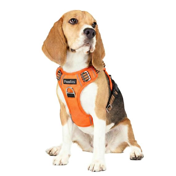Funfox Hundegeschirr Mittelgroße Hunde [M] - Verstellbares Anti-Zug Brustgeschirr mit Griff & Reflektorstreifen, Atmungsaktives No Pull Hundegeschirr für Grosse/Kleine Hunde Outdoor Orange