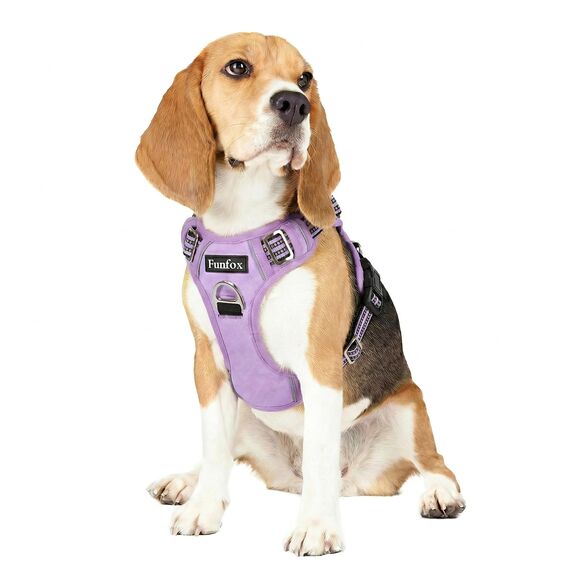 Funfox Hundegeschirr Mittelgroße Hunde [M] - Verstellbares Anti-Zug Brustgeschirr mit Griff & Reflektorstreifen, Atmungsaktives No Pull Hundegeschirr für Grosse/Kleine Hunde Outdoor Lavendel