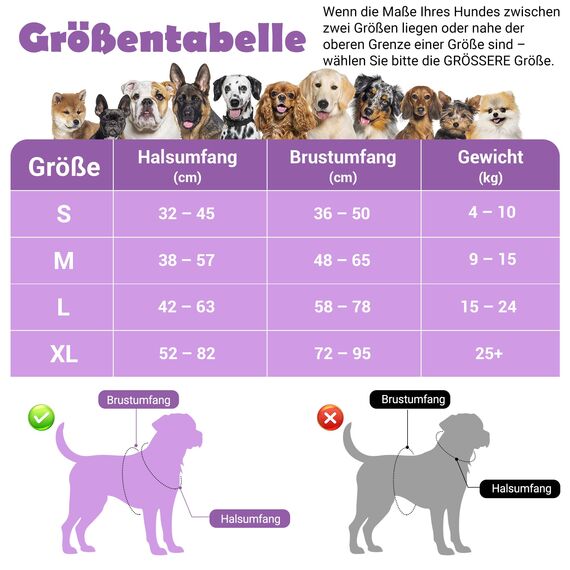 Funfox Hundegeschirr Kleine Hunde [S] - Anti Zug Welpengeschirr mit Griff & Ringreflektoren, Atmungsaktives Verstellbares No Pull Brustgeschirr für Kleine/Mittelgroße Hunde Outdoor Lavendel
