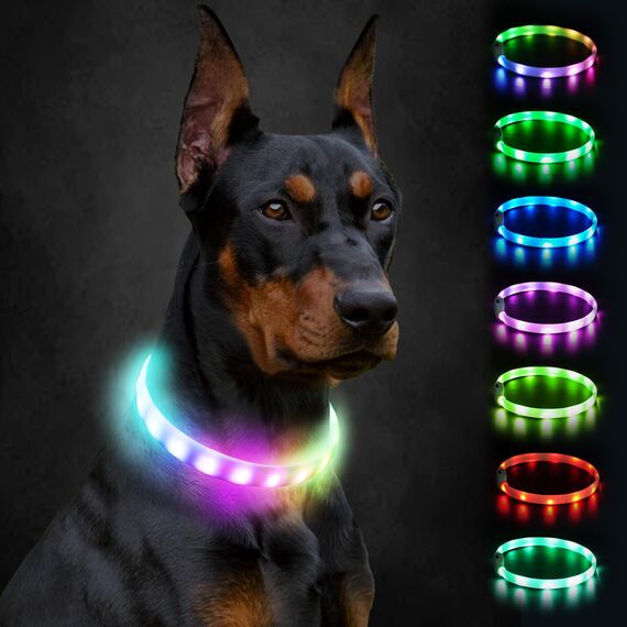 Joytale Leuchthalsband Hund, Hundehalsband Leuchtend Aufladbar, Längenverstellbar Led Hundehalsband mit 9 Leuchtmodi, Regendicht Hunde Leuchthalsband für Kleine Mittlere Große Hunde, 70 cm