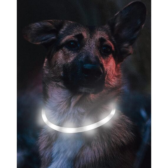 Joytale Leuchthalsband Hund USB Aufladbar Hundehalsband Leuchtend für Große Mittel Kleine Hunde und Welpe, Led Halsband mit 3 Modi für Sicherheit, Weiß