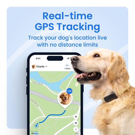 Tractive GPS Tracker Hund | 2025 Edition | Live-Ortung | Weglaufalarm | Aktivitätstracking | Gesundheitswarnungen | Bellverhalten | Empfohlen von Martin Rütter (Braun)