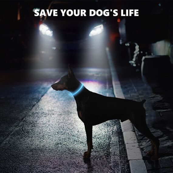 Leuchthalsband für Hunde mit wiederaufladbarem LED-Licht, Leuchtband für Hunde, größenverstellbar mit drei Lichtmodi, Sicherheit für Ihren Hund bei Nacht, Blau