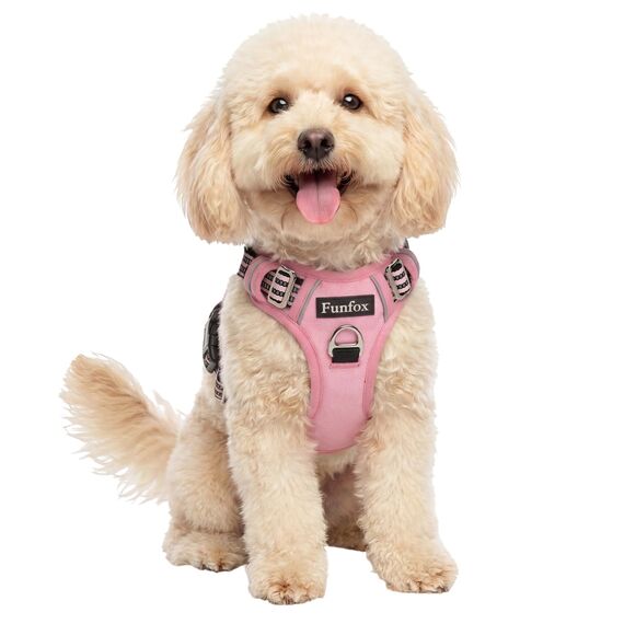 Funfox Hundegeschirr Kleine Hunde [S] - Anti Zug Welpengeschirr mit Griff & Ringreflektoren, Atmungsaktives Verstellbares No Pull Brustgeschirr für Kleine/Mittelgroße Hunde Outdoor Rosa