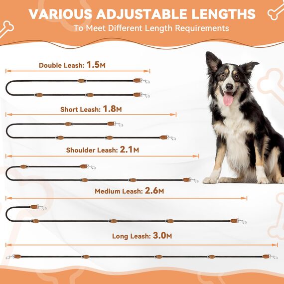 PETCOOZ Hundeleine 3M Verstellbare Schleppleine für Mittel- & Großhunde (20-60kg), Weicher Griff, 2 Karabiner & Sicherheitsringe, Vielseitige Doppelleine aus stabilem Nylon, Schwarz