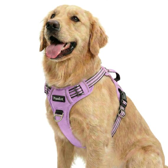 Funfox Hundegeschirr Mittelgroße Hunde, Anti Zug Brustgeschirr Verstellbares Geschirr Hund mit Griff Reflektorstreifen, No Pull Geschirr Hund für Kleine Mittlere Grosse Dog Harness Lavendel L