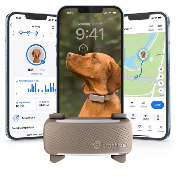 Tractive GPS Tracker Hund | 2025 Edition | Live-Ortung | Weglaufalarm | Aktivitätstracking | Gesundheitswarnungen | Bellverhalten | Empfohlen von Martin Rütter (Braun)