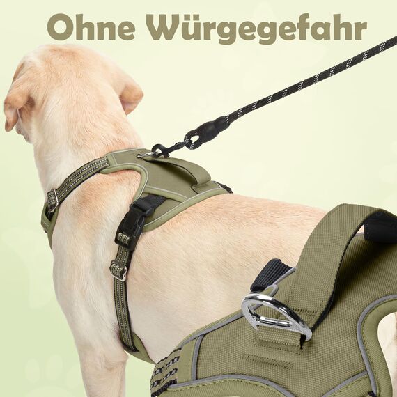 Funfox Hundegeschirr Kleine Hunde [M] - Anti Zug Welpengeschirr mit Griff & Ringreflektoren, Atmungsaktives Verstellbares No Pull Brustgeschirr für Kleine/Mittelgroße Hunde Outdoor Militärgrün