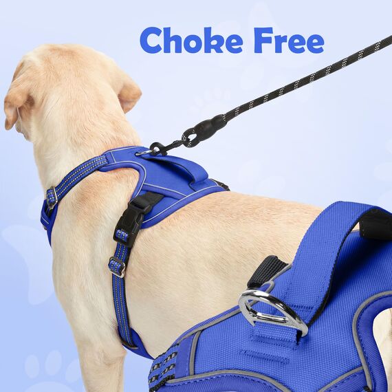 Funfox Hundegeschirr Mittelgroße Hunde [M] - Verstellbares Anti-Zug Brustgeschirr mit Griff & Reflektorstreifen, Atmungsaktives No Pull Hundegeschirr für Grosse/Kleine Hunde Outdoor Blau