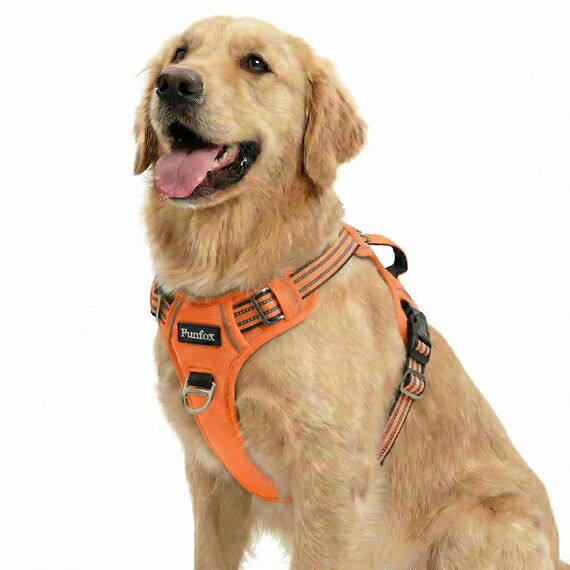 Funfox Hundegeschirr Mittelgroße Hunde [L] - Verstellbares Anti-Zug Brustgeschirr mit Griff & Reflektorstreifen, Atmungsaktives No Pull Hundegeschirr für Grosse/Kleine Hunde Outdoor Orange