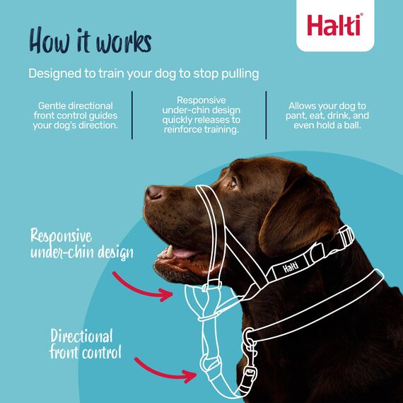 HALTI Kopfgeschirr - Verhindert, dass Ihr Hund an der Leine zieht, Einfache Anpassung, Leicht, mit gepolstertem Nasenriemen, Anti-Zug-Halsband für mittelgroße Hunde (Größe 3, Schwarz)