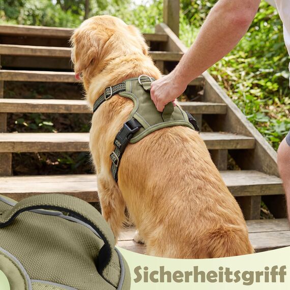 Funfox Hundegeschirr Kleine Hunde [M] - Anti Zug Welpengeschirr mit Griff & Ringreflektoren, Atmungsaktives Verstellbares No Pull Brustgeschirr für Kleine/Mittelgroße Hunde Outdoor Militärgrün