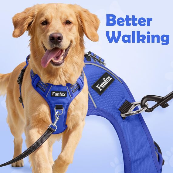 Funfox Hundegeschirr Mittelgroße Hunde [M] - Verstellbares Anti-Zug Brustgeschirr mit Griff & Reflektorstreifen, Atmungsaktives No Pull Hundegeschirr für Grosse/Kleine Hunde Outdoor Blau