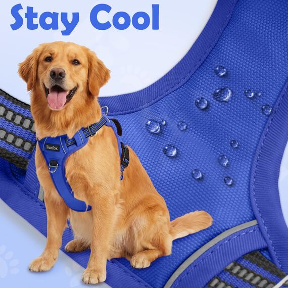 Funfox Hundegeschirr Kleine Hunde [S] - Anti Zug Welpengeschirr mit Griff & Ringreflektoren, Atmungsaktives Verstellbares No Pull Brustgeschirr für Kleine/Mittelgroße Hunde Outdoor Blau