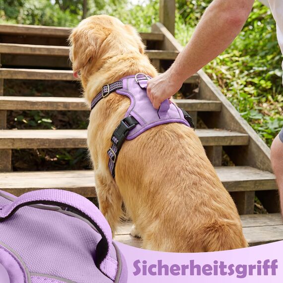 Funfox Hundegeschirr Mittelgroße Hunde, Anti Zug Brustgeschirr Verstellbares Geschirr Hund mit Griff Reflektorstreifen, No Pull Geschirr Hund für Kleine Mittlere Grosse Dog Harness Lavendel L