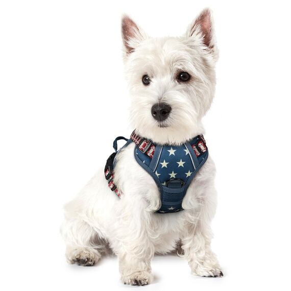 rabbitgoo Hundegeschirr Mittelgroße Hunde, Anti Zug Geschirr mit Kontrolle, No Pull Verstellbar Hundegeschirr Grosse Hunde, Atmungsaktiv Reflexstreifen Brustgeschirr Sichere，Blauer Stern，XS