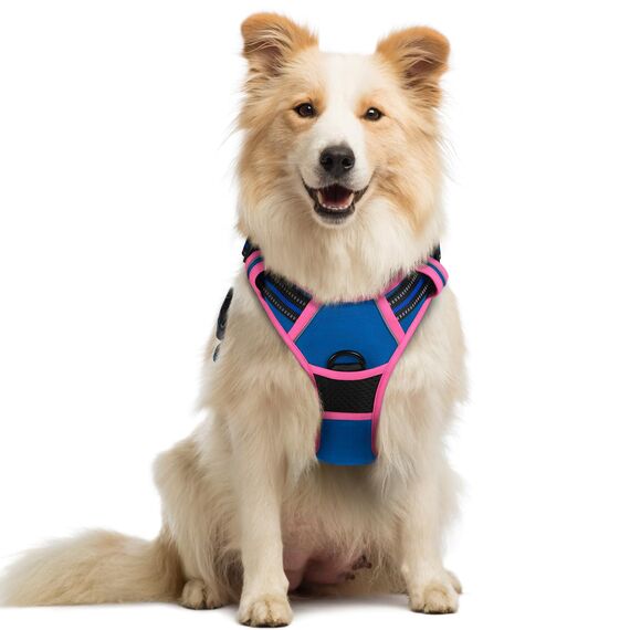 rabbitgoo Hundegeschirr Mittelgroße Hunde, Anti Zug Geschirr mit Kontrolle, No Pull Verstellbar Hundegeschirr Grosse Hunde, Atmungsaktiv Reflexstreifen Brustgeschirr Sichere Führung,Blau & Rosarot,M