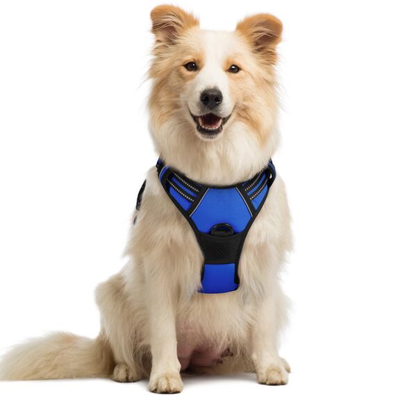 rabbitgoo Hundegeschirr Mittelgroße Hunde Anti Zug Geschirr Hund mit Kontrolle No Pull Verstellbar Hundegeschirr Grosse Hunde Atmungsaktiv Reflexstreifen Brustgeschirr Hund Sichere Führung Blau M