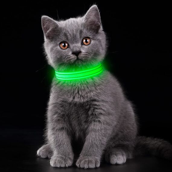 YFbrite Leuchtende Hundehalsbänder, USB-aufladbares LED-Hundehalsband, verstellbares LED-Katzenhalsband, langlebiges Blinkhalsband für Katzen, Welpen, kleine, mittelgroße und große Hunde (Grün, XS)