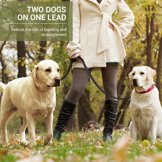 Hundeleine für Kleine & Mittelgroße Hunde bis 30 kg, 3 m Verstellbare Schleppleine Doppelleine, Verdickte Freihandleine Übungsleine Führleine aus Nylon mit 2 Karabiner, Schwarz