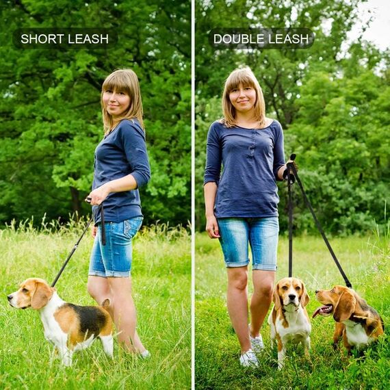 oneisall Freihandleinen für kleine & mittelgroße Hunde, Hundeleine 2.5m verstellbar Übungsleine & Führleine | Nylon Doppelleine mit 2 Karabiner Schwarz