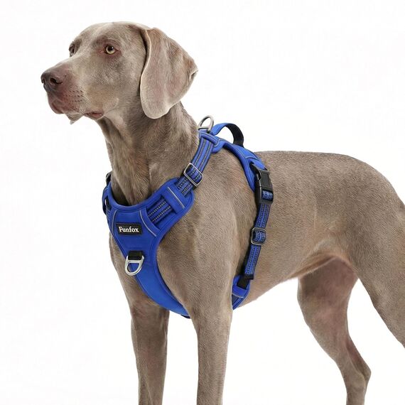 Funfox Hundegeschirr Grosse Hunde [XL] - Verstellbares Anti-Zug Brustgeschirr mit Griff & Reflektorstreifen, Atmungsaktives No Pull Hundegeschirr für Grosse/Mittelgroße Hunde Outdoor Blau