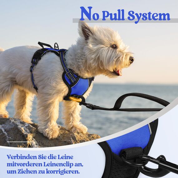 rabbitgoo Hundegeschirr Kleine Hunde, Anti Zug Geschirr mit Kontrolle, No Pull Verstellbar Hundegeschirr Grosse Hunde, Atmungsaktiv Reflexstreifen Brustgeschirr Sichere Führung Blau XS