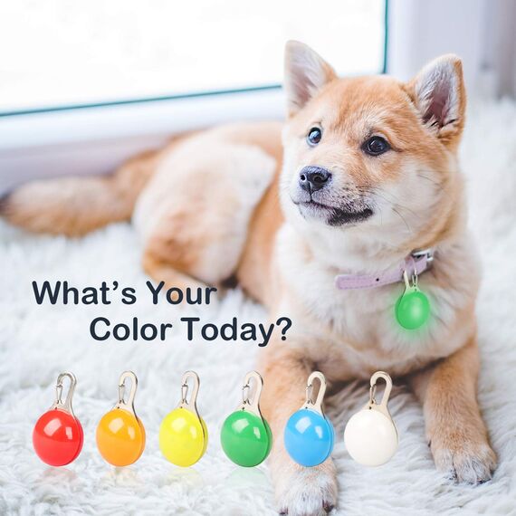 Leuchtanhänger Hund 6er, LED Blinklicht Anhänger für Hundehalsband, Hunde Leuchthalsband, Hundelicht für Hunde Geschirre, Halsband & Leinen, Blinklicht Schulranzen Licht Kinder, Leuchtband 3 Blinkmodi