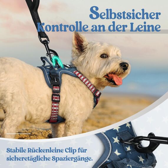 rabbitgoo Hundegeschirr Mittelgroße Hunde, Anti Zug Geschirr mit Kontrolle, No Pull Verstellbar Hundegeschirr Grosse Hunde, Atmungsaktiv Reflexstreifen Brustgeschirr Sichere，Blauer Stern，XS